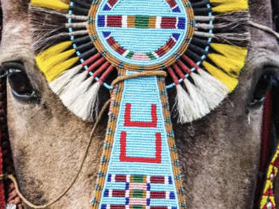 Chief Joseph Trail Ride: